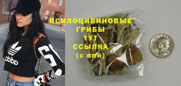 apvp Корсаков