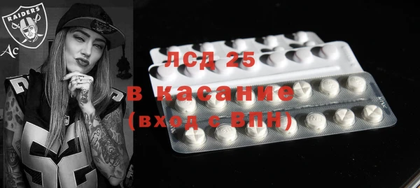 прущие грибы Кодинск