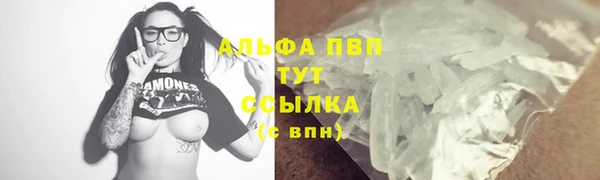 прущие грибы Кодинск