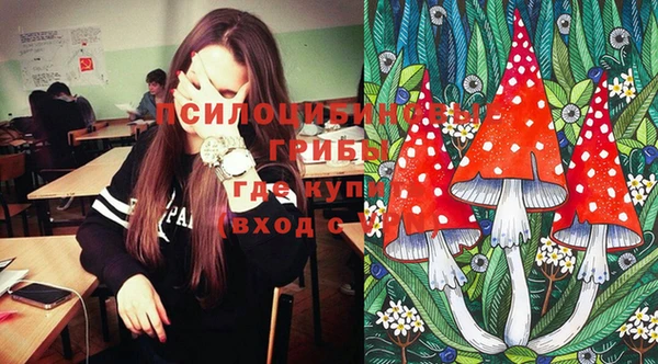 прущие грибы Кодинск