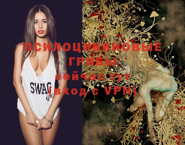 прущие грибы Кодинск