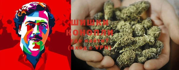 Альфа ПВП Костерёво